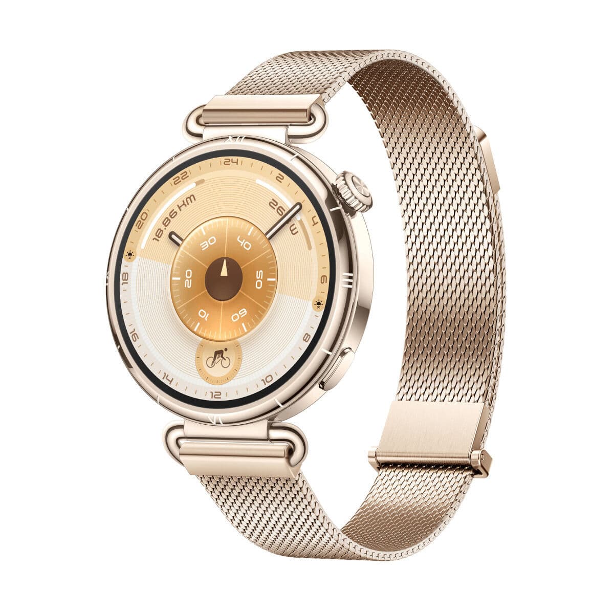Smartwatch Huawei Watch GT 6 Konsu-B19M Golden 1,32" 41 mm Ø 41 mm