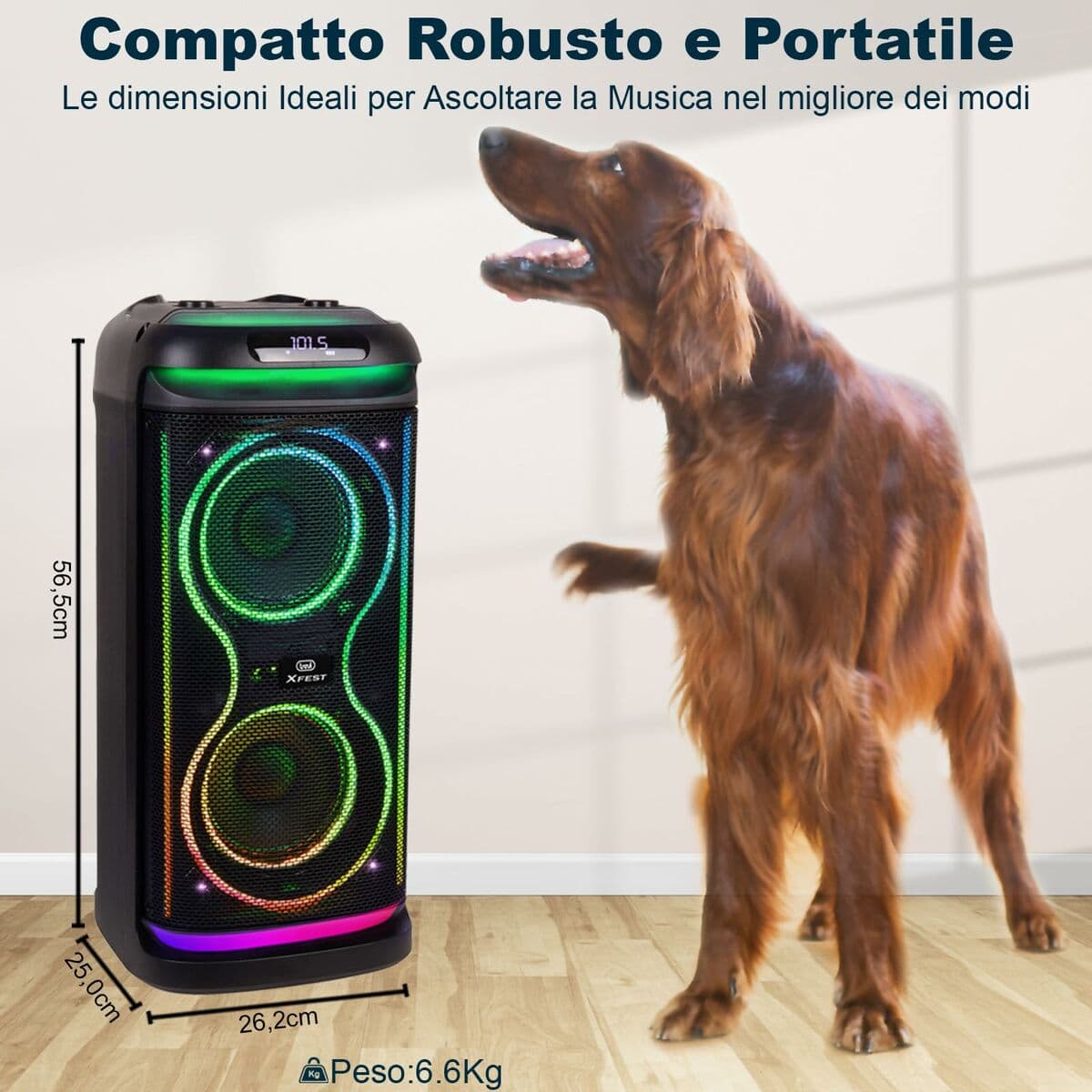Portable Speaker Trevi Trevi XF 650 KB